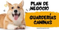 plan d enegocio guardería canina
